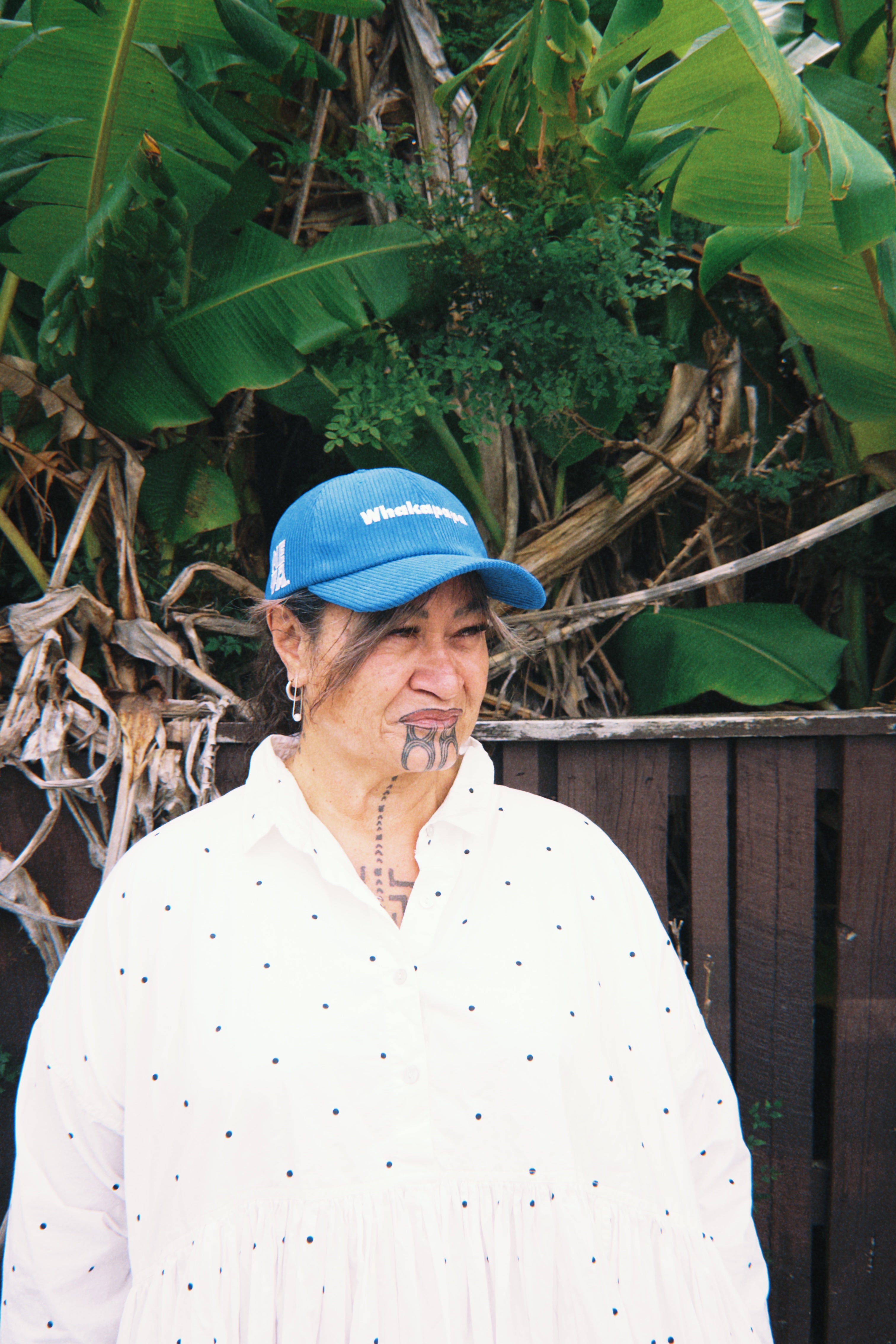 Whakapapa - Pōtae